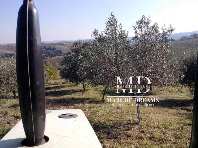 Terreno in vendita a Marche, Ancona