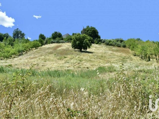 Terreno in vendita a Marche, Ancona