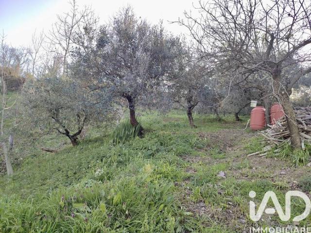 Terreno in vendita a Marche, Ancona
