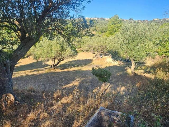 Terreno in vendita a Torre Elena, Stalettì