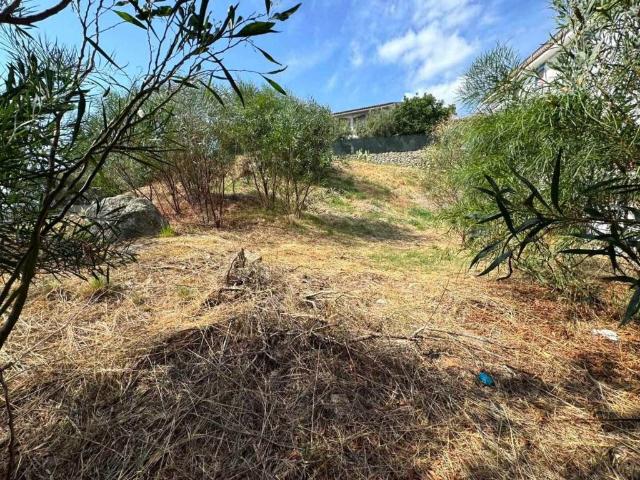 Terreno in vendita a Calabria, Catanzaro