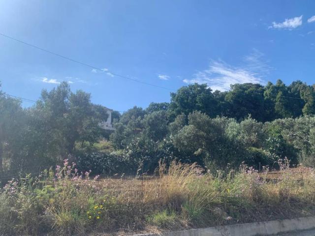 Terreno in vendita a Calabria, Catanzaro