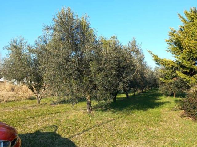 Terreno in vendita a Staranzano, Friuli-Venezia Giulia