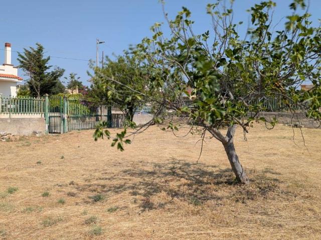 Terreno in vendita a Puglia, Taranto