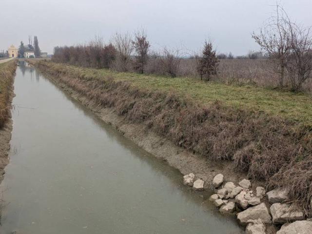 Terreno in vendita a Stienta, Veneto
