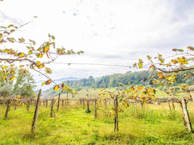 Terreno in vendita a Collevecchio, Lazio