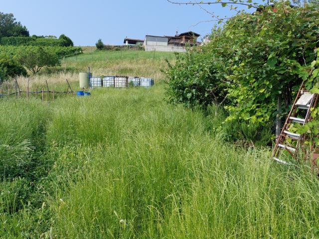 Terreno in vendita a Novella, Stradella