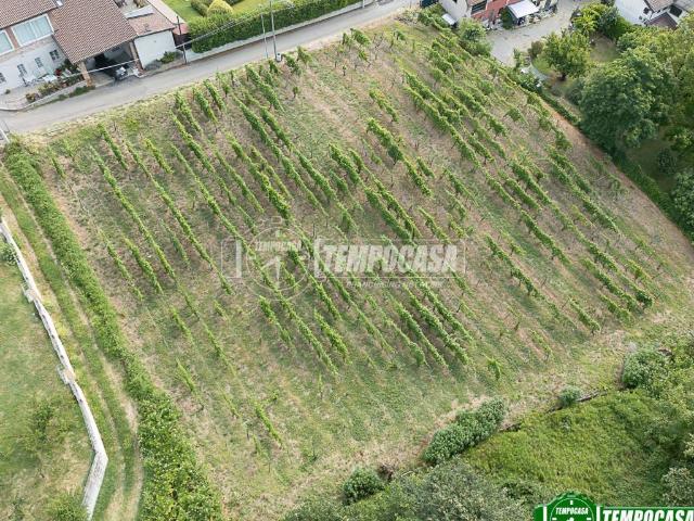 Terreno in vendita a Stradella, Lombardia