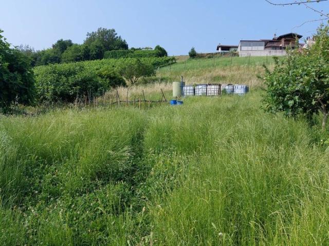 Terreno in vendita a Novella, Stradella