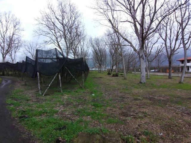 Terreno in vendita a Striano, Campania