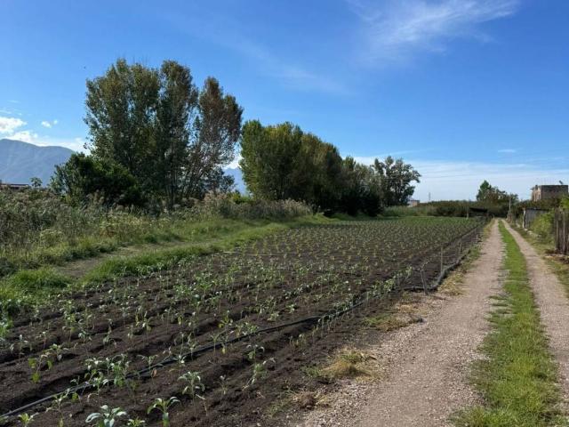 Terreno in vendita a Striano, Campania