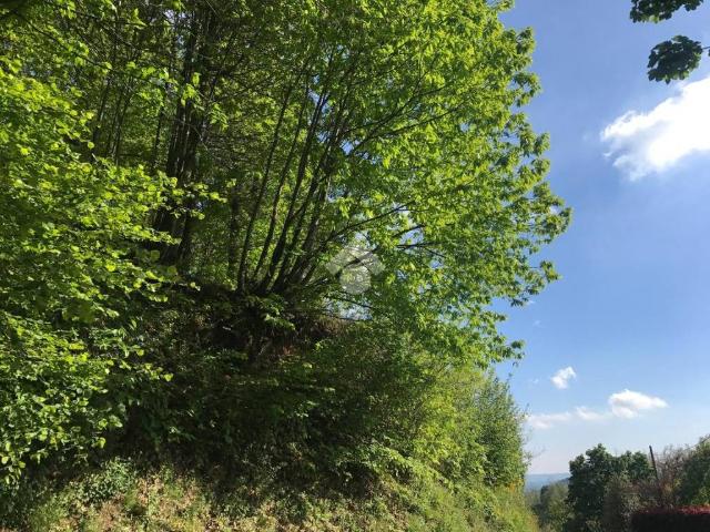Terreno in vendita a Piemonte, Biella