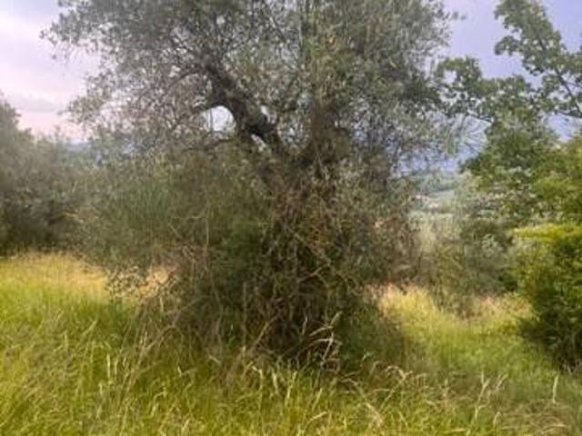 Terreno in vendita a Stroncone, Umbria