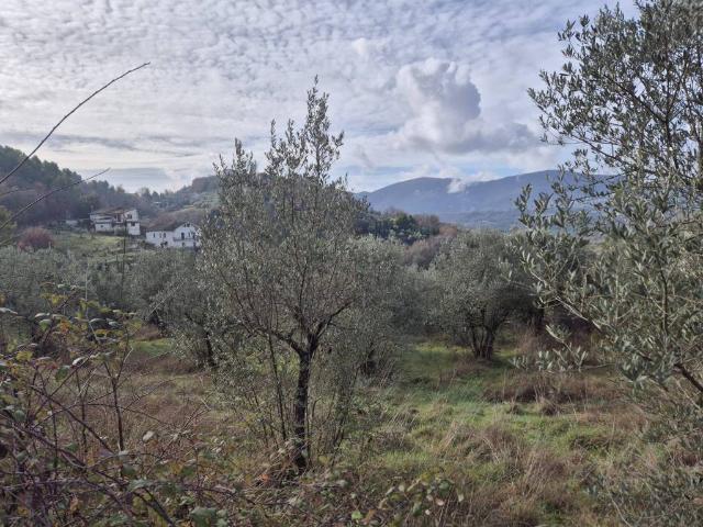 Terreno in vendita a Stroncone, Umbria