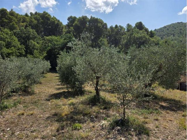 Terreno in vendita a Stroncone, Umbria