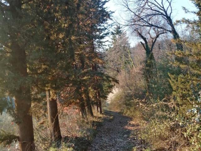 Terreno in vendita a Subbiano, Toscana