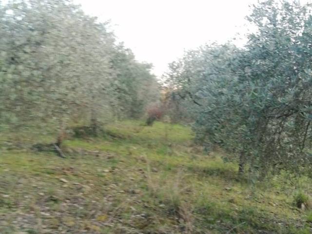 Terreno in vendita a Subbiano, Toscana