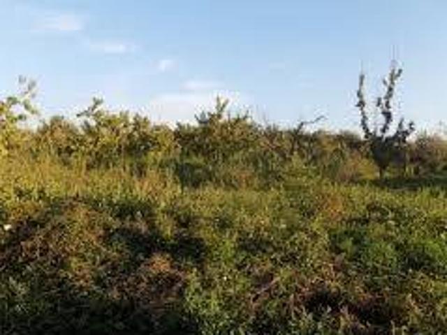 Terreno in vendita a Succivo, Campania