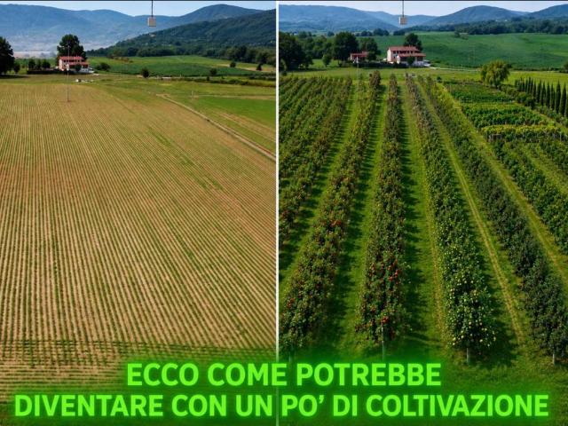 Terreno in vendita a Suisio, Lombardia