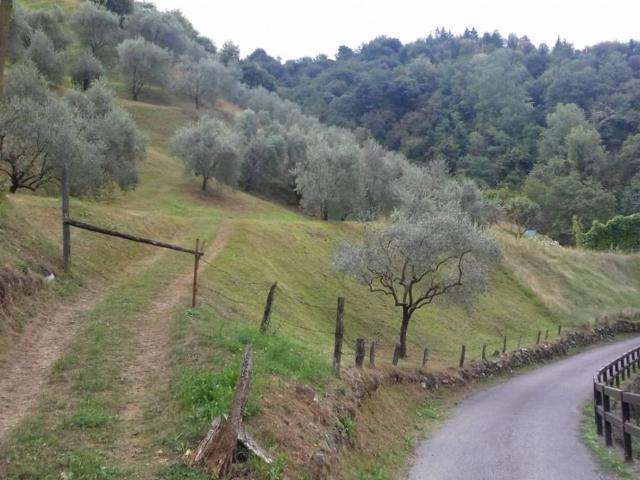 Terreno in vendita a Comunità montana del Sebino bresciano, Sulzano