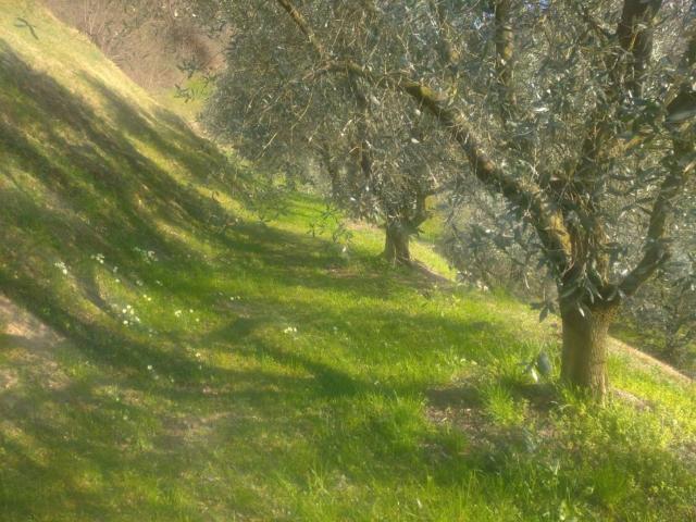 Terreno in vendita a Comunità montana del Sebino bresciano, Sulzano