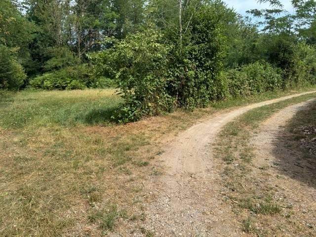 Terreno in vendita a Sumirago, Lombardia
