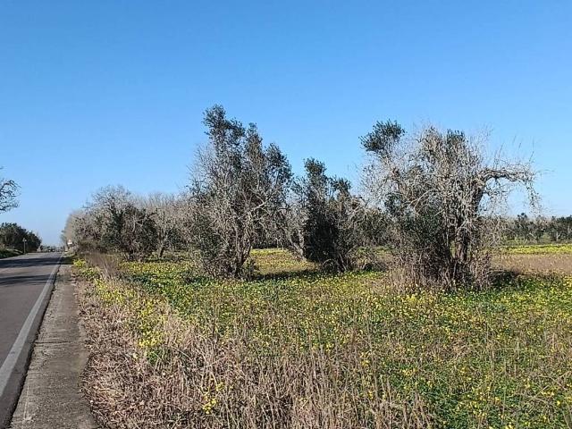 Terreno in vendita a Puglia, Lecce