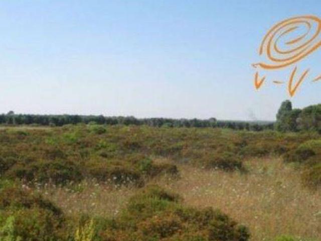 Terreno in vendita a Puglia, Lecce