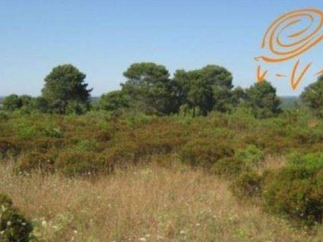Terreno in vendita a Puglia, Lecce