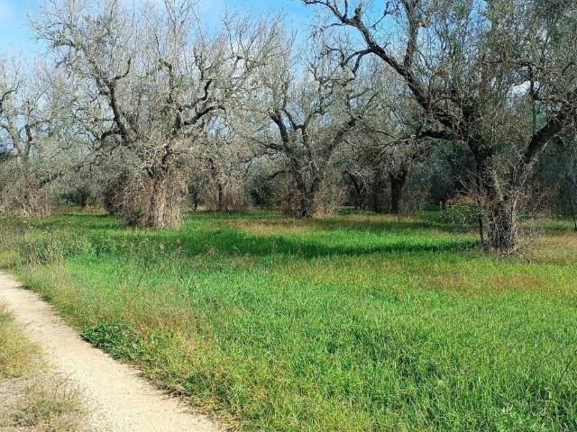 Terreno in vendita a Puglia, Lecce