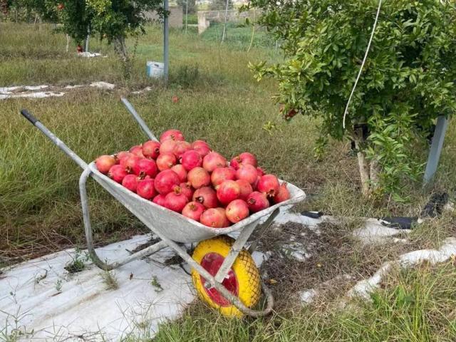 Terreno in vendita a Puglia, Lecce