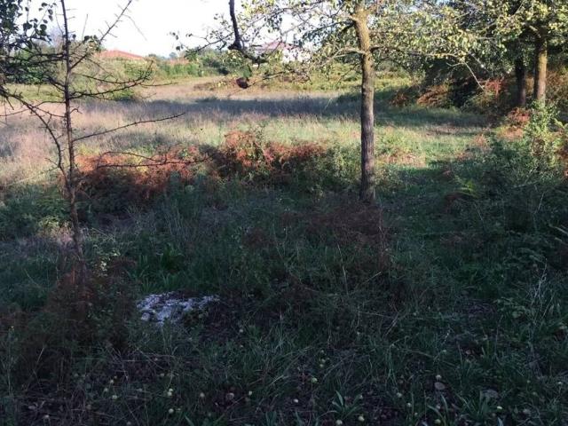 Terreno in vendita a Supino, Lazio