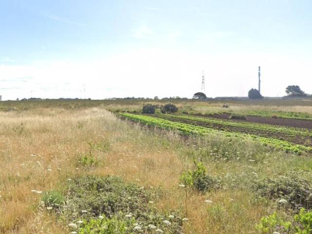 Terreno in vendita a Giorgilorio, Surbo