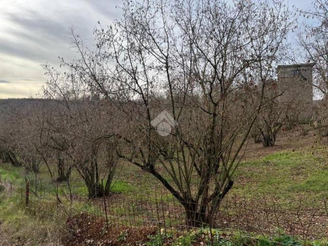 Terreno in vendita a Sutri, Lazio