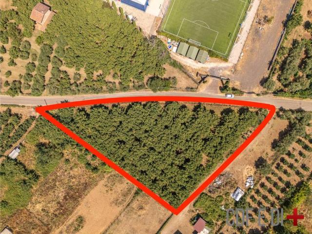 Terreno in vendita a Sutri, Lazio