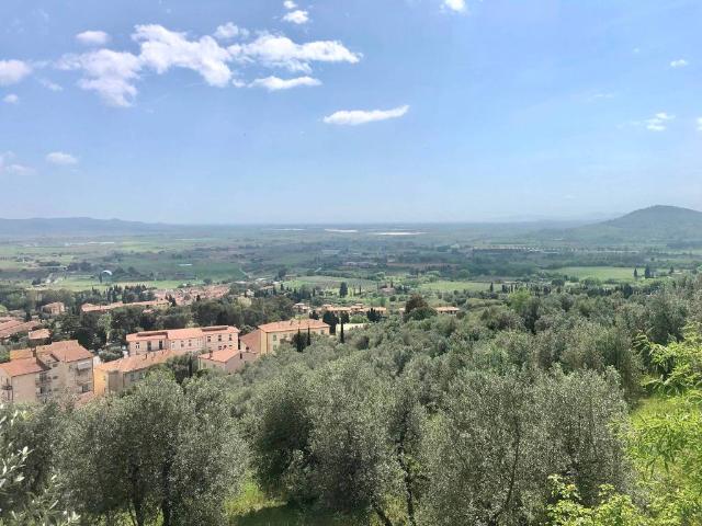 Terreno in vendita a Belvedere, Suvereto