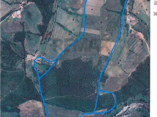 Terreno in vendita a Suvereto, Toscana