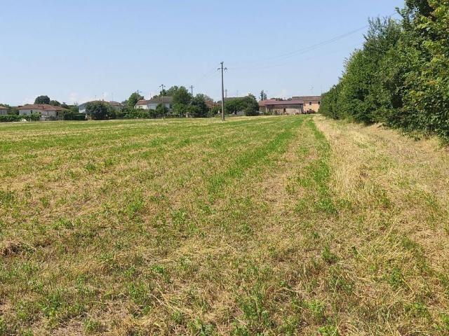 Terreno in vendita a Suzzara, Lombardia