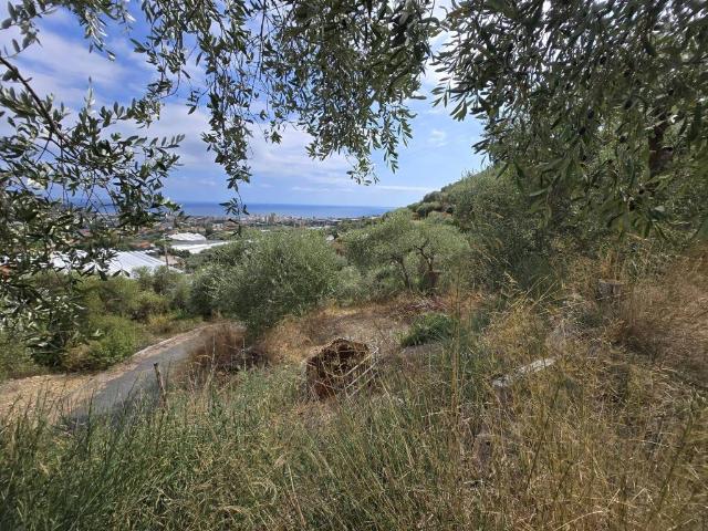 Terreno in vendita a Taggia