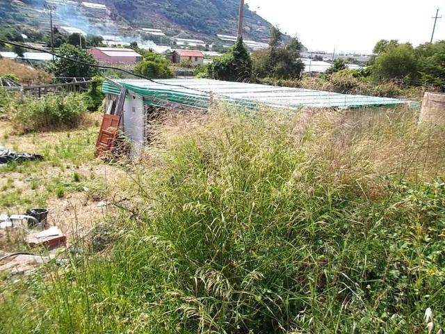 Terreno in vendita a Taggia
