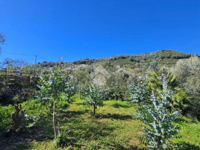 Terreno in vendita a Taggia, Arma Di Taggia