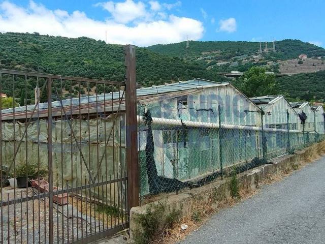 Terreno in vendita a Taggia