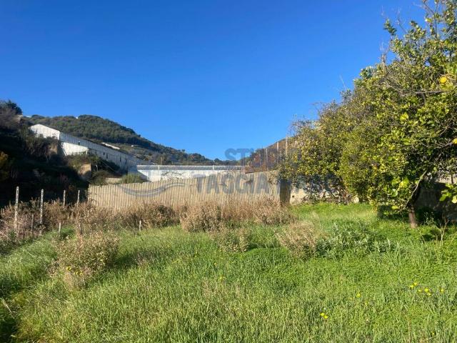 Terreno in vendita a Taggia, Arma Di Taggia