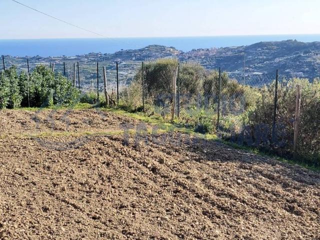 Terreno in vendita a Taggia, Arma Di Taggia