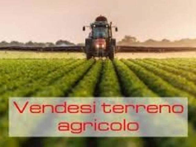 Terreno in vendita a Taglio Di Po, Veneto