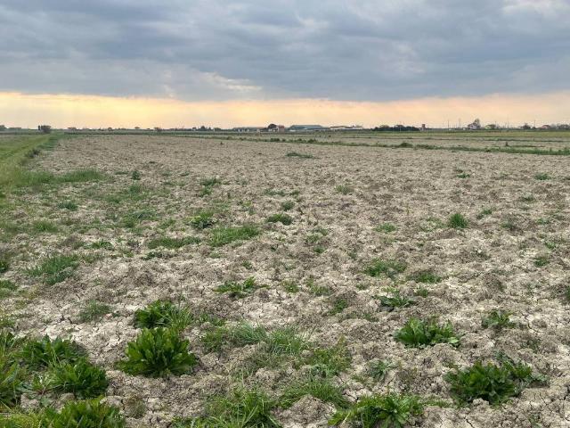 Terreno in vendita a Taglio Di Po, Veneto