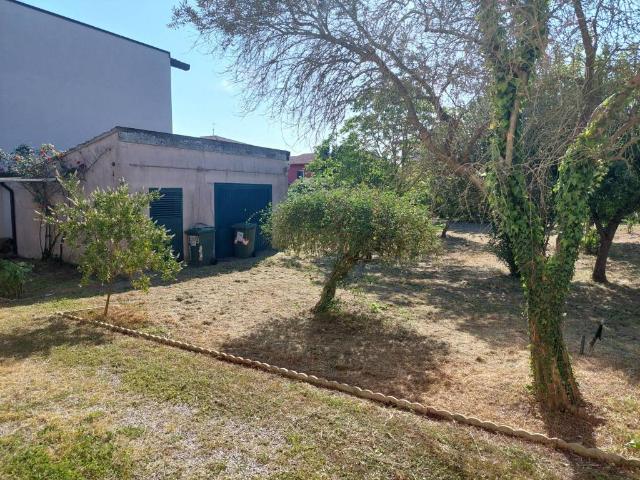 Terreno in vendita a Taglio Di Po, Veneto