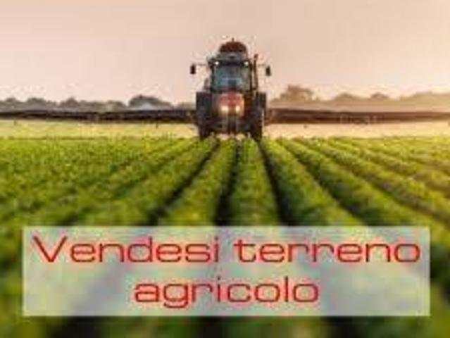 Terreno in vendita a Taglio Di Po, Veneto