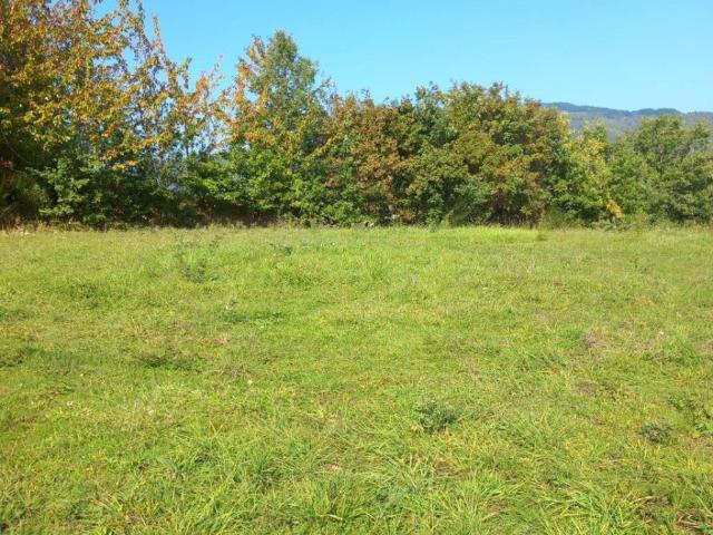 Terreno in vendita a Talla, Toscana