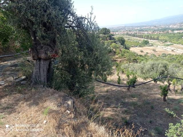 Terreno in vendita a Taormina, Sicilia